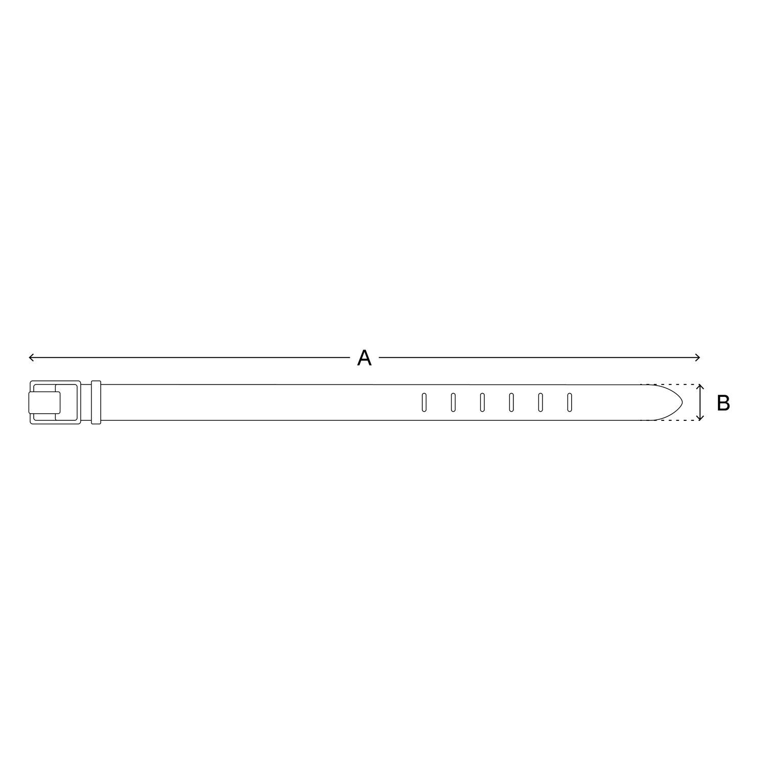 Belt